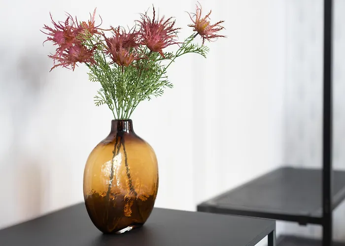 بيت ضيافة Anjos Balconies