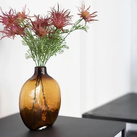 Gasthof Anjos Balconies